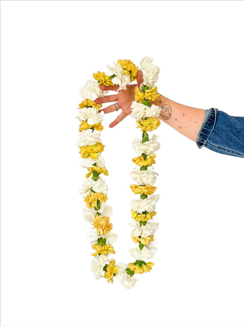 University of Colorado Graduation Lei