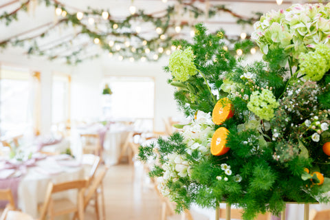 Boulder's Hottest Wedding Flower Trends for 2025: Get Ready to Wow!