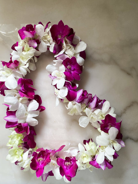 The Absolute Best Graduation Lei's